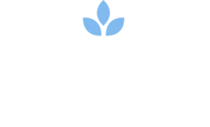 Michela Higa Terapias Holísticas